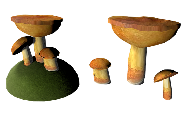 Free download Mushroom Cep Isolated -  free illustration to be edited with GIMP free online image editor
