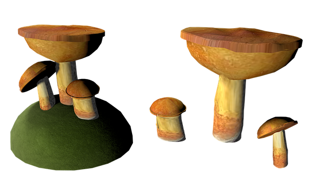 Unduh gratis Mushroom Cep Isolated - ilustrasi gratis untuk diedit dengan editor gambar online gratis GIMP