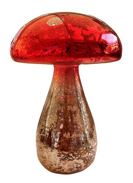 Free download Mushroom Fly Agaric Toadstool -  free photo or picture to be edited with GIMP online image editor