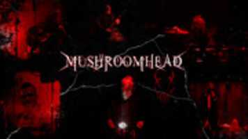 Free download Mushroomhead Picture free photo or picture to be edited with GIMP online image editor