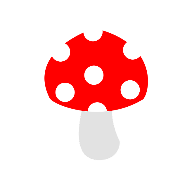 Free download Mushroom Red White free illustration to be edited with GIMP online image editor