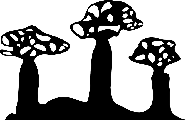 Free download Mushrooms Fungi Trees - Free vector graphic on Pixabay free illustration to be edited with GIMP free online image editor