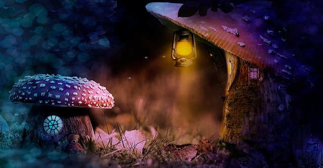 Free download mushrooms gas lamp fantasy free picture to be edited with GIMP free online image editor