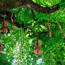 Musical instrument trees  screen for extension Chrome web store in OffiDocs Chromium