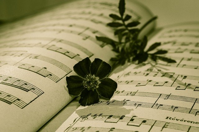 Téléchargement gratuit de Musical Note Rose A Withered - photo ou image gratuite à modifier avec l'éditeur d'images en ligne GIMP