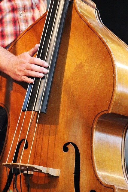 Free download Musician Instrument Double Bass -  free photo or picture to be edited with GIMP online image editor