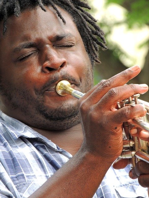 Free download musician jazz n music musical free picture to be edited with GIMP free online image editor