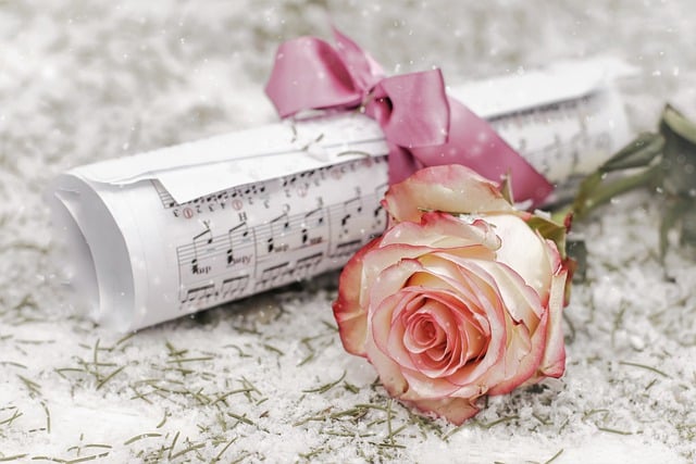 Free download music sheet music rose snow free picture to be edited with GIMP free online image editor