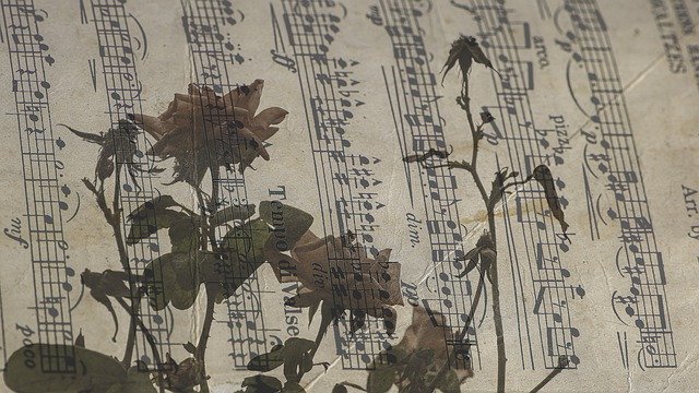 免费下载 Music Sheet Roses Romantic - 可使用 GIMP 在线图像编辑器编辑的免费照片或图片