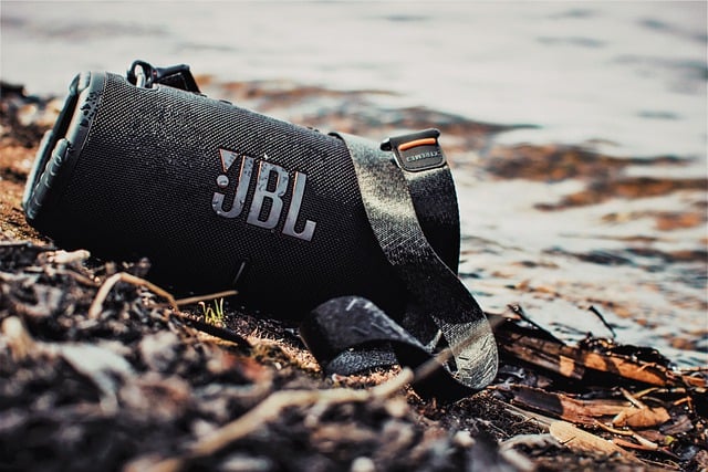 Free download music speaker bass audio sound free picture to be edited with GIMP free online image editor