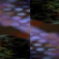 Free download Musiquarium, Vol. I free photo or picture to be edited with GIMP online image editor