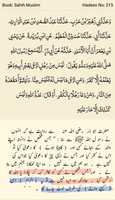 Free download muslim-ko-kafir-kehny-wala-kafir free photo or picture to be edited with GIMP online image editor