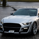 Mustang on the Road: Power and Freedom in Motion  screen for extension Chrome web store in OffiDocs Chromium