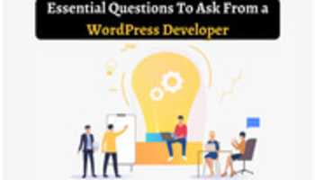 Free download Must Ask These Question to WordPress Web Development Company India - CSSChopper free photo or picture to be edited with GIMP online image editor