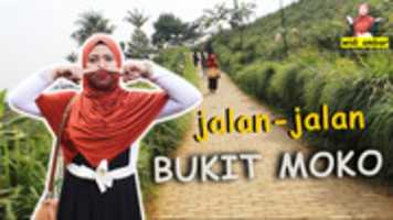 Free download MVI 59683 free photo or picture to be edited with GIMP online image editor