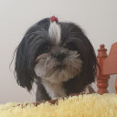 My Age Timer  screen for extension Chrome web store in OffiDocs Chromium