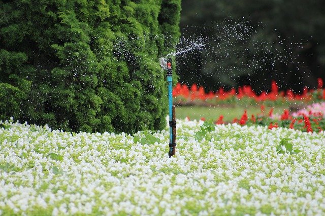 Téléchargement gratuit Myanmar Birmanie Watering - photo ou image gratuite à éditer avec l'éditeur d'images en ligne GIMP