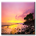 My Hawaii  screen for extension Chrome web store in OffiDocs Chromium