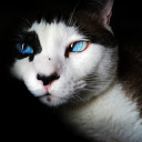 Mysterious eyes  screen for extension Chrome web store in OffiDocs Chromium