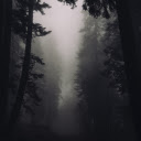 Mystic Black Forest  screen for extension Chrome web store in OffiDocs Chromium