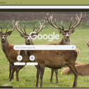 Nai chau Au  screen for extension Chrome web store in OffiDocs Chromium