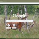 Nai do  screen for extension Chrome web store in OffiDocs Chromium