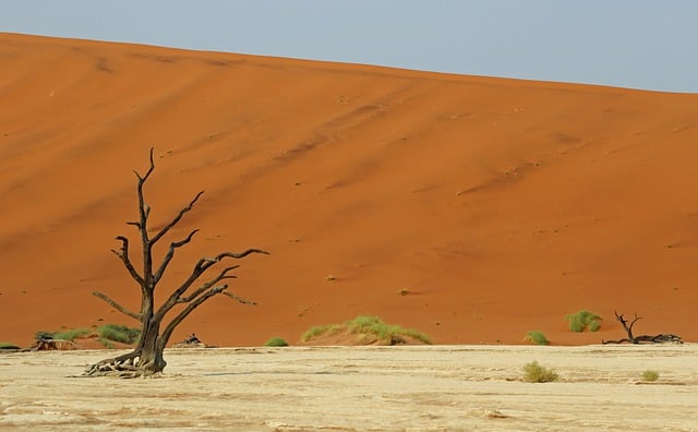Free download namib desert namibia africa nature free picture to be edited with GIMP free online image editor