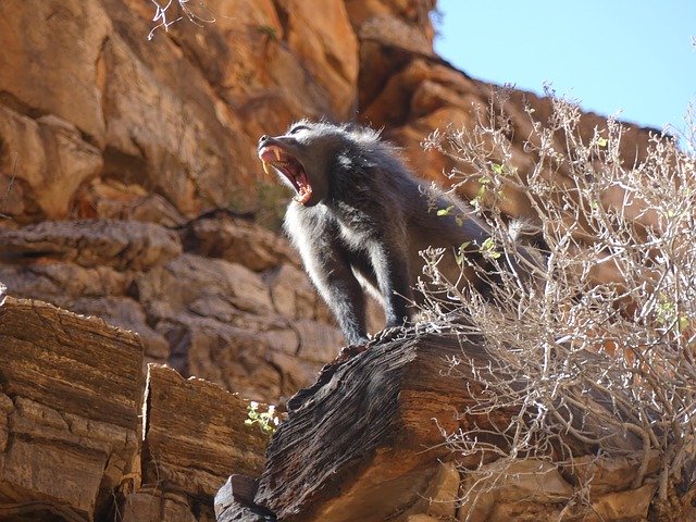 Descărcare gratuită Namibia Sun Africa - fotografie sau imagine gratuită pentru a fi editată cu editorul de imagini online GIMP