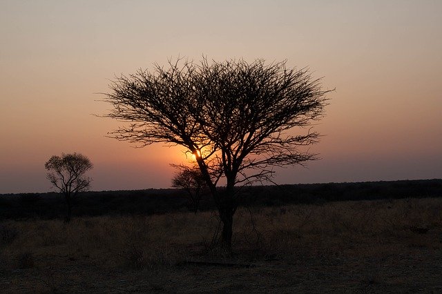 Free download Namibia Sunset Africa -  free photo or picture to be edited with GIMP online image editor