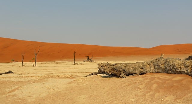 Free download namib namibia desert namib desert free picture to be edited with GIMP free online image editor