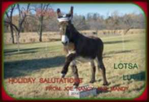 Free download Nancys ASS free photo or picture to be edited with GIMP online image editor