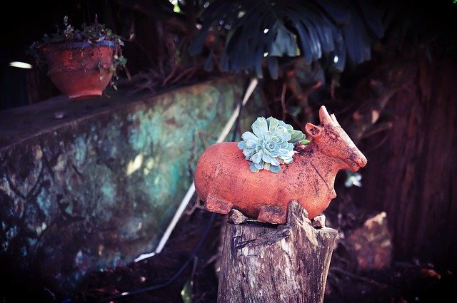 تنزيل Nandi Pottery Nature مجانًا - صورة مجانية أو صورة يتم تحريرها باستخدام محرر الصور عبر الإنترنت GIMP