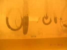 Free download Nanocoating With Caustic free photo or picture to be edited with GIMP online image editor
