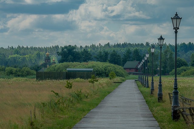 Gratis download Narew Podlasie Bridge voetgangersbrug gratis foto om te bewerken met GIMP gratis online afbeeldingseditor