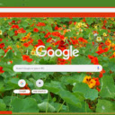 Nasturtium  screen for extension Chrome web store in OffiDocs Chromium