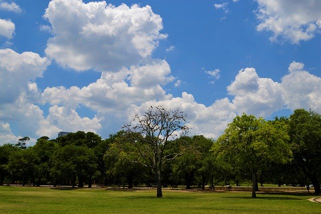 Free download National Park Houston Texas -  free free photo or picture to be edited with GIMP online image editor