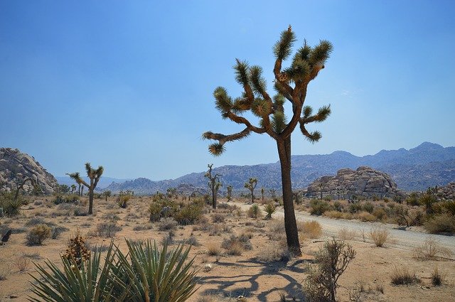 Free download National Park Landscape Desert -  free photo or picture to be edited with GIMP online image editor