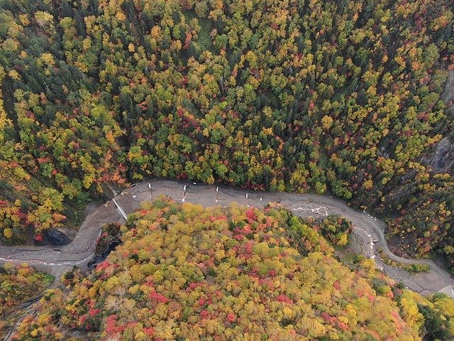 Kostenloser Download Natural Autumn Aerial - kostenloses Foto oder Bild zur Bearbeitung mit GIMP Online-Bildbearbeitung