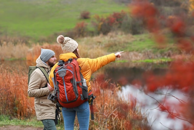 Téléchargement gratuit d'une image gratuite de romance d'amour de prairie naturelle à modifier avec l'éditeur d'images en ligne gratuit GIMP