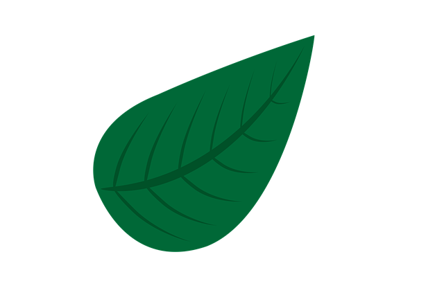 Free download Natural Green Leave -  free illustration to be edited with GIMP free online image editor