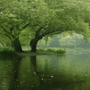 Natural lake surface wallpaper  screen for extension Chrome web store in OffiDocs Chromium
