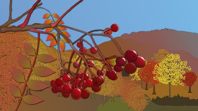 Free download Natural Landscape Plant -  free photo or picture to be edited with GIMP online image editor