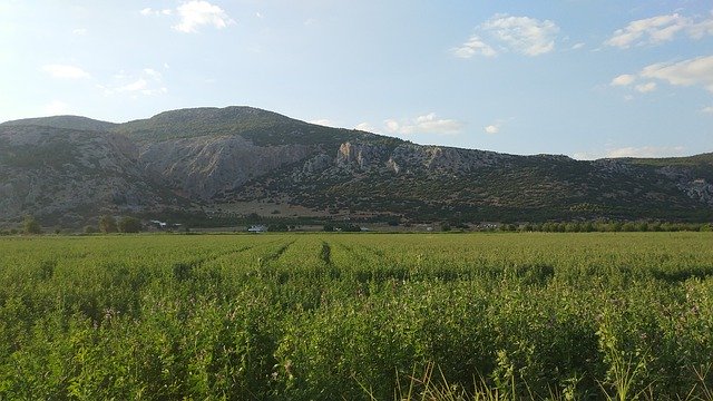 הורדה חינם Nature Agriculture Rural - תמונה או תמונה בחינם לעריכה עם עורך התמונות המקוון GIMP