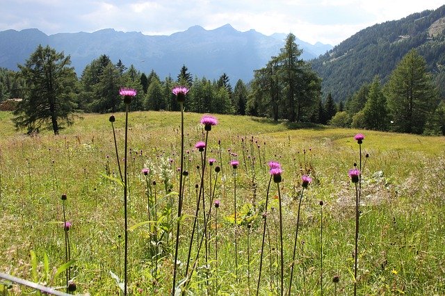 Free download Nature Austria Carinthia -  free photo or picture to be edited with GIMP online image editor