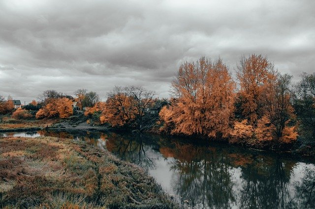 Template Photo Nature Autumn Gray -  for OffiDocs