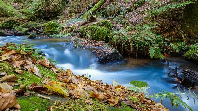 Muat turun percuma Nature Bach Water - foto atau gambar percuma untuk diedit dengan editor imej dalam talian GIMP