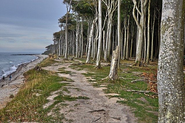 Free download Nature Baltic Sea Coast Germany -  free photo or picture to be edited with GIMP online image editor