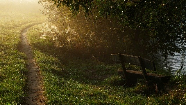 Безкоштовно завантажте Nature Bank River - безкоштовну фотографію або зображення для редагування за допомогою онлайн-редактора зображень GIMP