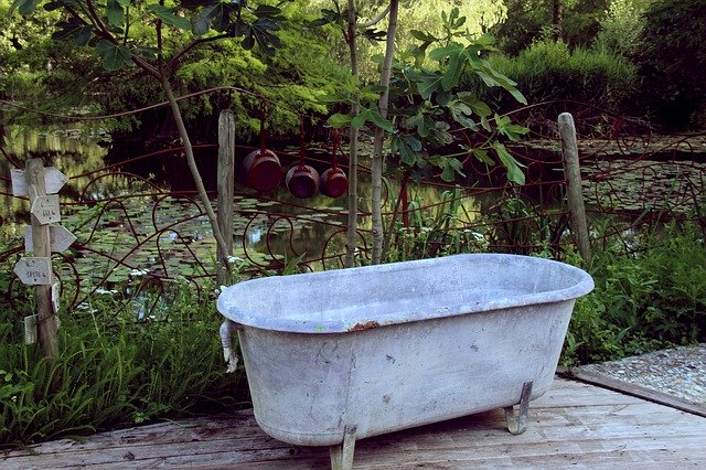Free download Nature Bath Flowers -  free photo or picture to be edited with GIMP online image editor