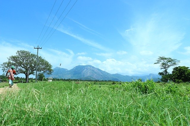 Free download Nature Beautifull Outdoors -  free photo or picture to be edited with GIMP online image editor